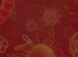Antimicrobial Resistance (AMR)