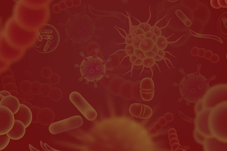 Antimicrobial Resistance (AMR) Antimicrobial Resistance (AMR)