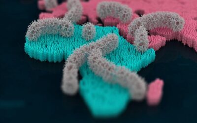 Africa Map-2 Africa Map-2