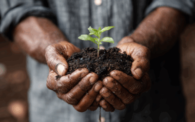 soil and environment-2 soil and environment-2